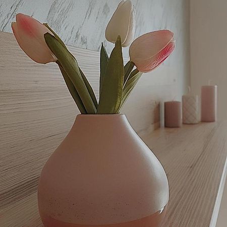 Sunray Apartman Požarevac Exteriér fotografie